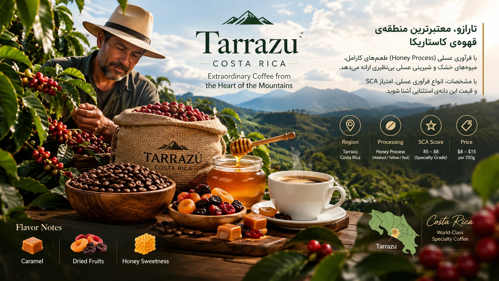 قهوه‌ی کاستاریکا تارازو؛ عربیکای باکیفیت با فرآوری عسلی