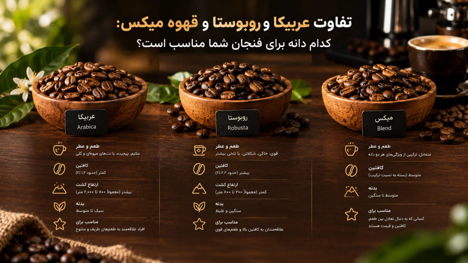 تفاوت عربیکا و روبوستا و قهوه میکس: کدام دانه برای فنجان شما مناسب است؟