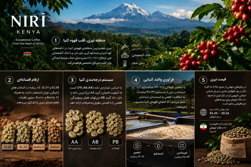 قهوهی کنیا نیری؛ عربیکای شرابی و پیچیده