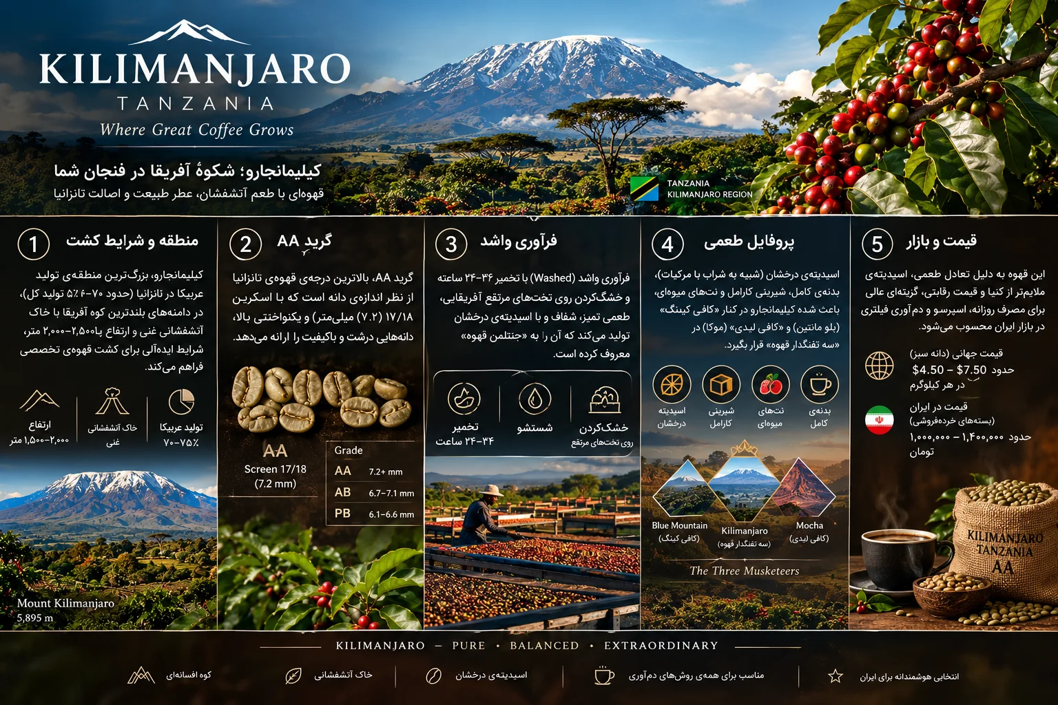 قهوه‌ی تانزانیا AA (کیلیمانجارو)؛ عربیکای آفریقایی با اسیدیته‌ی درخشان