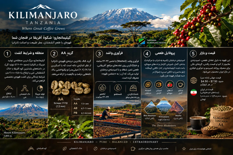 قهوهی تانزانیا AA (کیلیمانجارو)؛ عربیکای آفریقایی با اسیدیتهی درخشان
