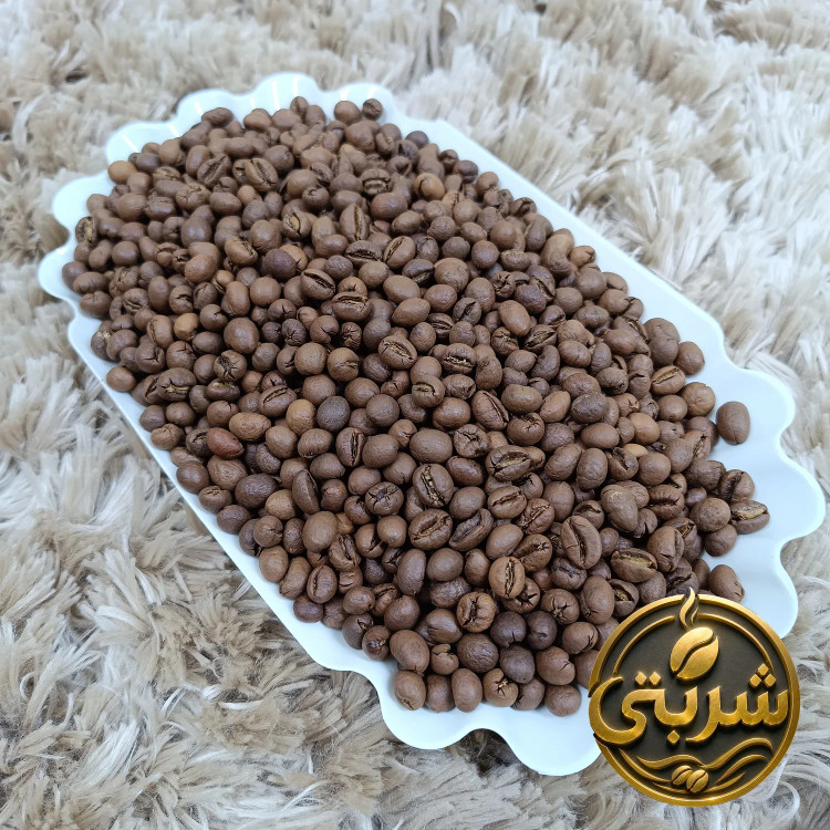 دان قهوه روبوستا پی بی